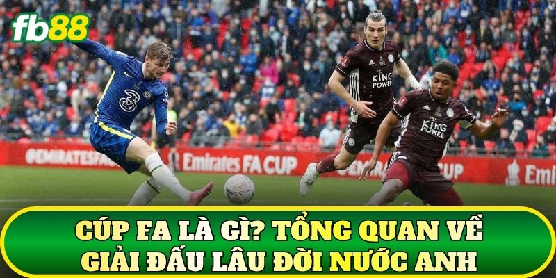 Cúp FA Là Gì? Lịch Sử, Lịch Thi Đấu, Phân Tích Tỷ Lệ Trận 1 Cúp FA là gì? Tổng quan về giải đấu lâu đời nước Anh